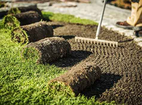 Rolls of sod ready to be laid